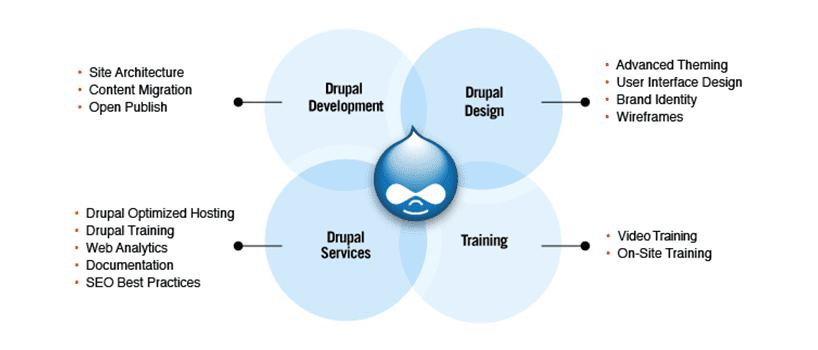 drupal development company