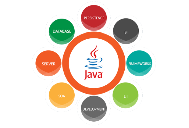 java development company india